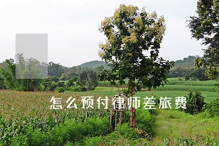 怎么预付律师差旅费 怎么预付律师差旅费