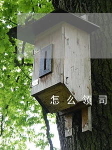 怎么领司法考试证 怎么领司法考试证
