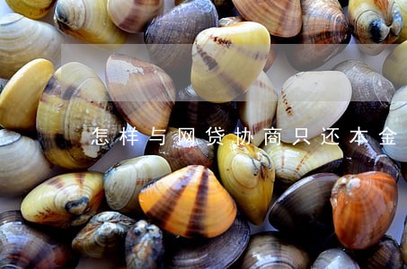 怎样与网贷协商只还本金