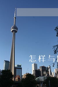 怎样与网贷协商逾期 怎样与网贷协商逾期