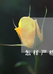 怎样严格执行财经法规