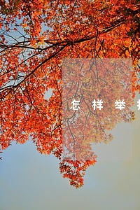 怎样举报身边人做违法工作 怎样举报身边人做违法工作