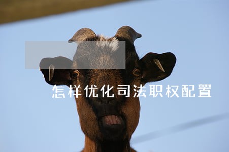 怎样优化司法职权配置 怎样优化司法职权配置