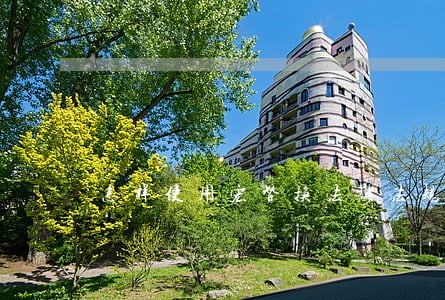 怎样使用宏替换法律法规中的字体