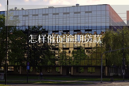 怎样催促逾期贷款 怎样催促逾期贷款