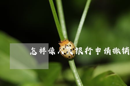 怎样像人民银行申请撤销逾期 怎样像人民银行申请撤销逾期