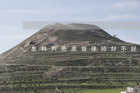 怎样判断离婚律师好不好 怎样判断离婚律师好不好