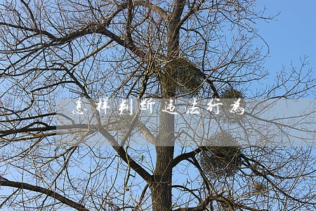 怎样判断违法行为 怎样判断违法行为
