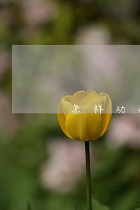 怎样劝说老公协议离婚 怎样劝说老公协议离婚