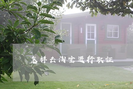 怎样去淘宝进行取证