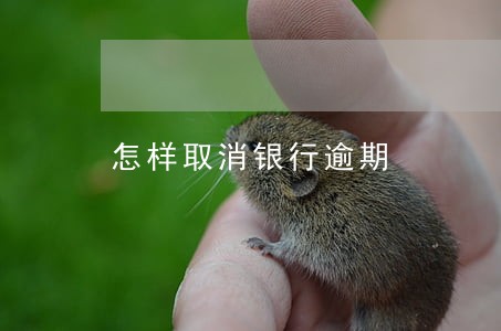 怎样取消银行逾期 怎样取消银行逾期