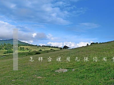 怎样合理用几张信用卡不逾期 怎样合理用几张信用卡不逾期