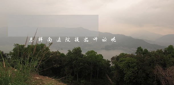 怎样向法院提出诉讼呢 怎样向法院提出诉讼呢