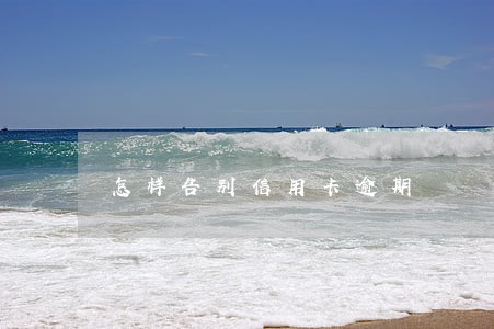 怎样告别信用卡逾期