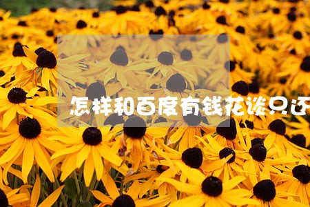 怎样和百度有钱花谈只还本金 怎样和百度有钱花谈只还本金