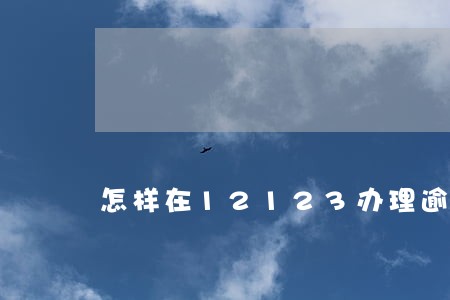 怎样在12123办理逾期业务 怎样在12123办理逾期业务