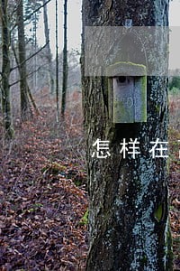 怎样在离婚判决书上强调家暴 怎样在离婚判决书上强调家暴