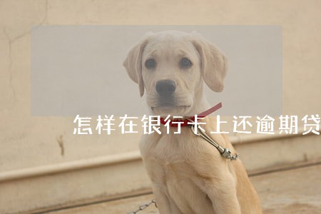 怎样在银行卡上还逾期贷款 怎样在银行卡上还逾期贷款