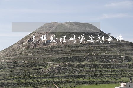 怎样处理网贷逾期事件 怎样处理网贷逾期事件
