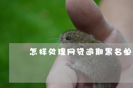 怎样处理网贷逾期黑名单 怎样处理网贷逾期黑名单