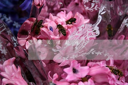 怎样处理起诉