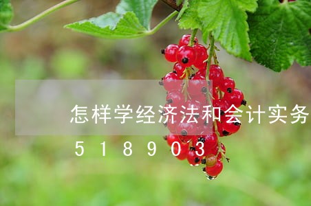 怎样学经济法和会计实务/2023021518903 怎样学经济法和会计实务/2023021518903