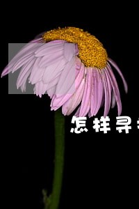 怎样寻找法律援助律师 怎样寻找法律援助律师