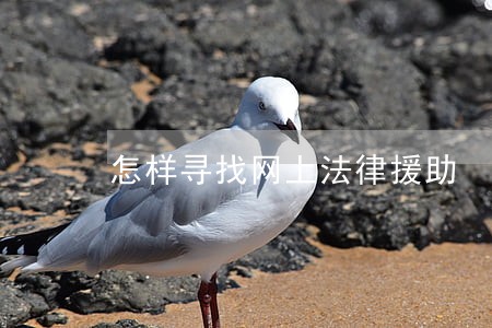 怎样寻找网上法律援助 怎样寻找网上法律援助