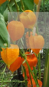 怎样应对信用卡逾期 怎样应对信用卡逾期