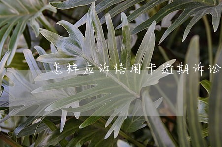 怎样应诉信用卡逾期诉讼 怎样应诉信用卡逾期诉讼