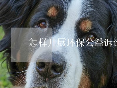 怎样开展环保公益诉讼 怎样开展环保公益诉讼