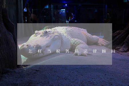 怎样当税务局法律顾问 怎样当税务局法律顾问