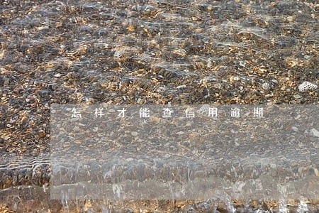 怎样才能查信用逾期