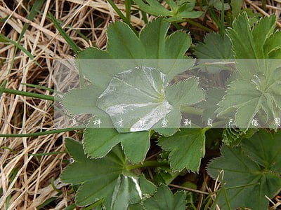 怎样才能查到自己信用卡逾期了 怎样才能查到自己信用卡逾期了