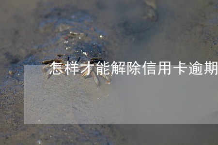 怎样才能解除信用卡逾期 怎样才能解除信用卡逾期