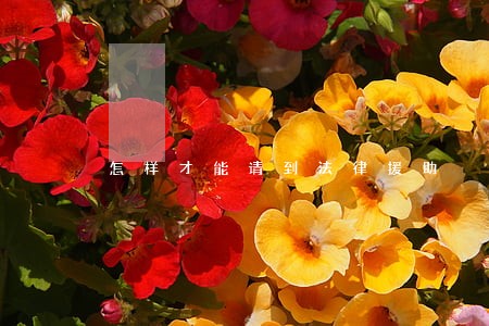 怎样才能请到法律援助 怎样才能请到法律援助