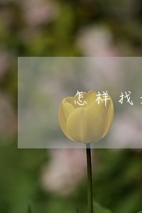怎样找媒体求助免费的 怎样找媒体求助免费的
