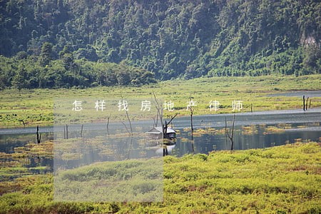 怎样找房地产律师 怎样找房地产律师