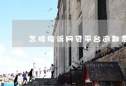 怎样投诉网贷平台逾期费 怎样投诉网贷平台逾期费