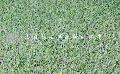 怎样换法律援助的律师 怎样换法律援助的律师
