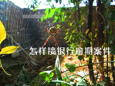 怎样接银行逾期案件