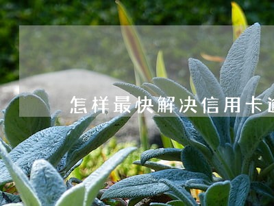 怎样最快解决信用卡逾期 怎样最快解决信用卡逾期