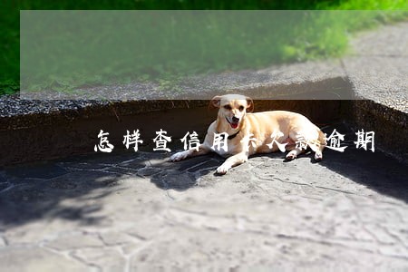 怎样查信用卡欠款逾期 怎样查信用卡欠款逾期