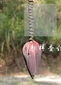 怎样查信用卡的逾期记录查询