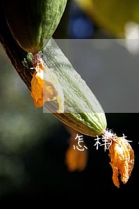 怎样查信用卡逾期几期