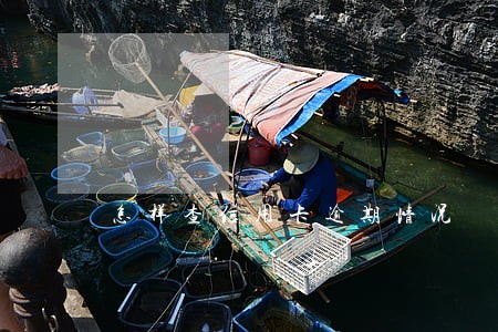 怎样查信用卡逾期情况 怎样查信用卡逾期情况