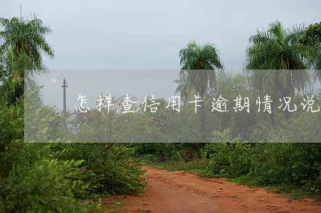 怎样查信用卡逾期情况说明书 怎样查信用卡逾期情况说明书
