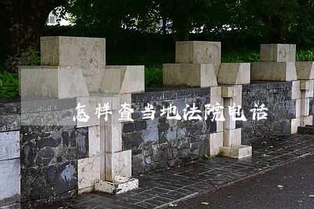 怎样查当地法院电话 怎样查当地法院电话