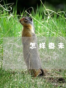 怎样查未来几天法院审判罪犯 怎样查未来几天法院审判罪犯