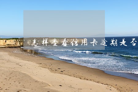 怎样查看信用卡逾期是否被冻结